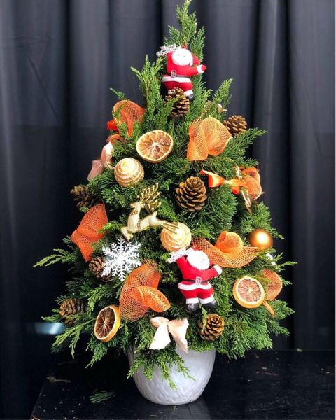 Cây Thông Noel:  Cây Thông Noel Sparkle - HGS04 - Quà Giáng Sinh 