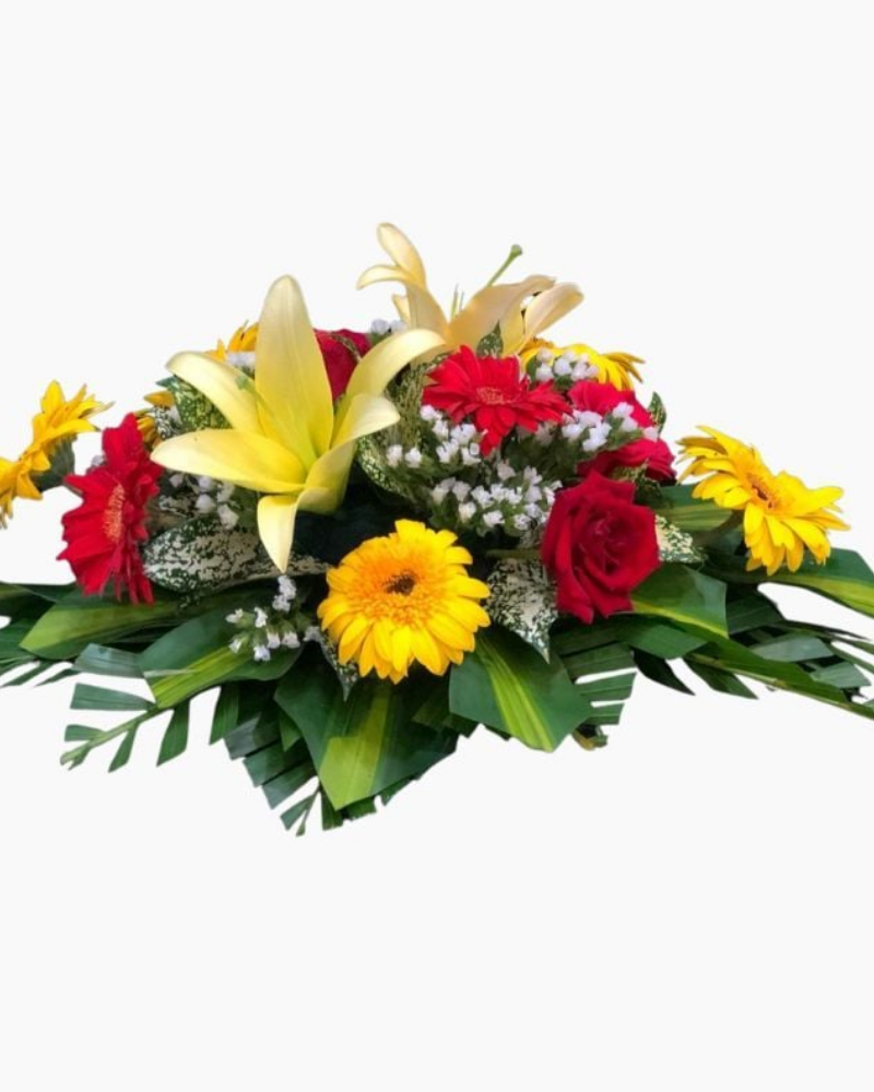  Hoa Để Bàn - Ovan 14 