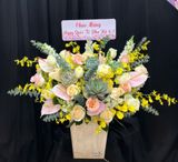  Hộp Hoa Nắng Mai - HH153 