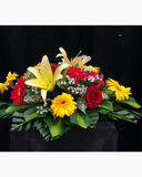  Hoa Để Bàn - Ovan 14 