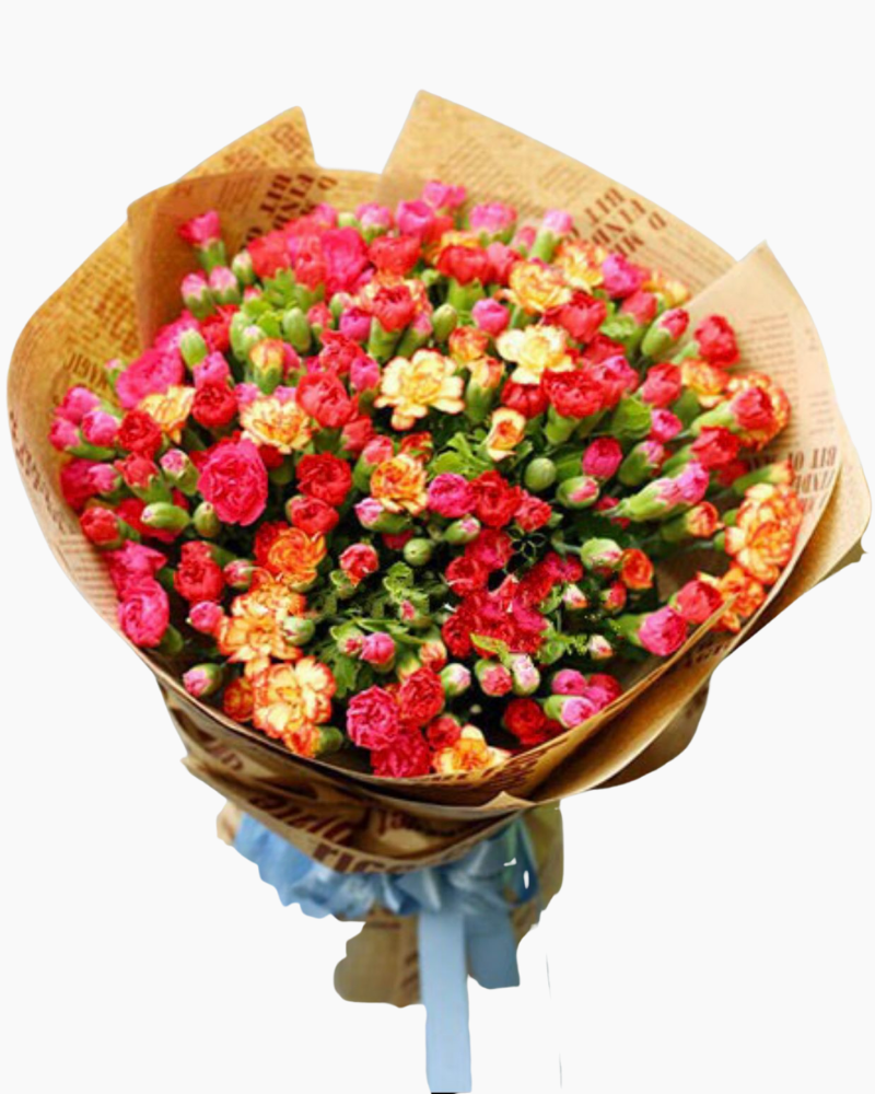  Perfect Love - HBT11 - Hoa 20/10 