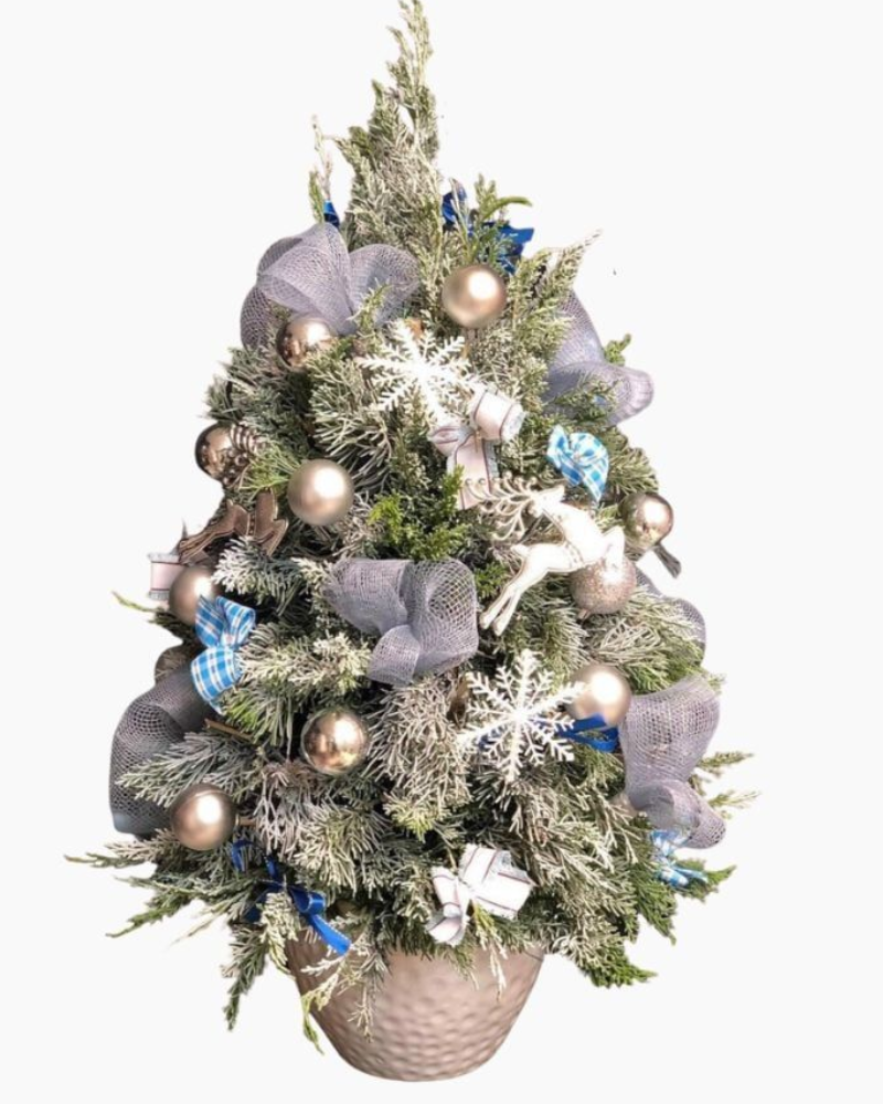  Cây Thông Noel Frosty - HGS03 - Hoa Noel 