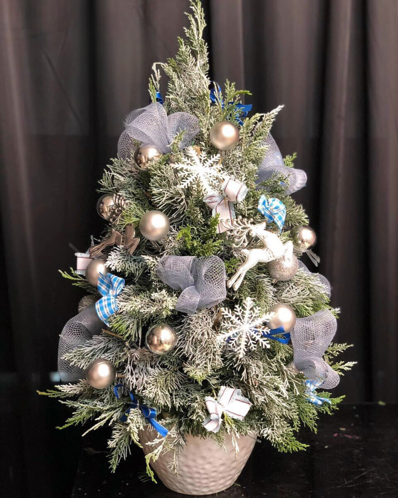  Cây Thông Noel Frosty - HGS03 - Hoa Noel 