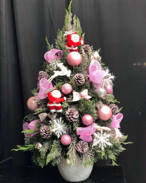 Cây Thông Noel: Cây Thông Noel Tannenbaum - HGS01 - Hoa Giáng Sinh