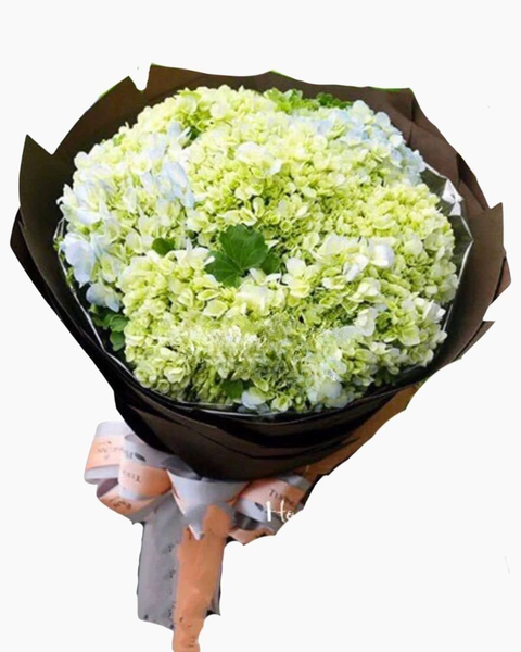 Mẫu Hoa Bó Tròn: Bó Hoa Cẩm Tú Cầu - HBT51 - Hoa tặng mẹ