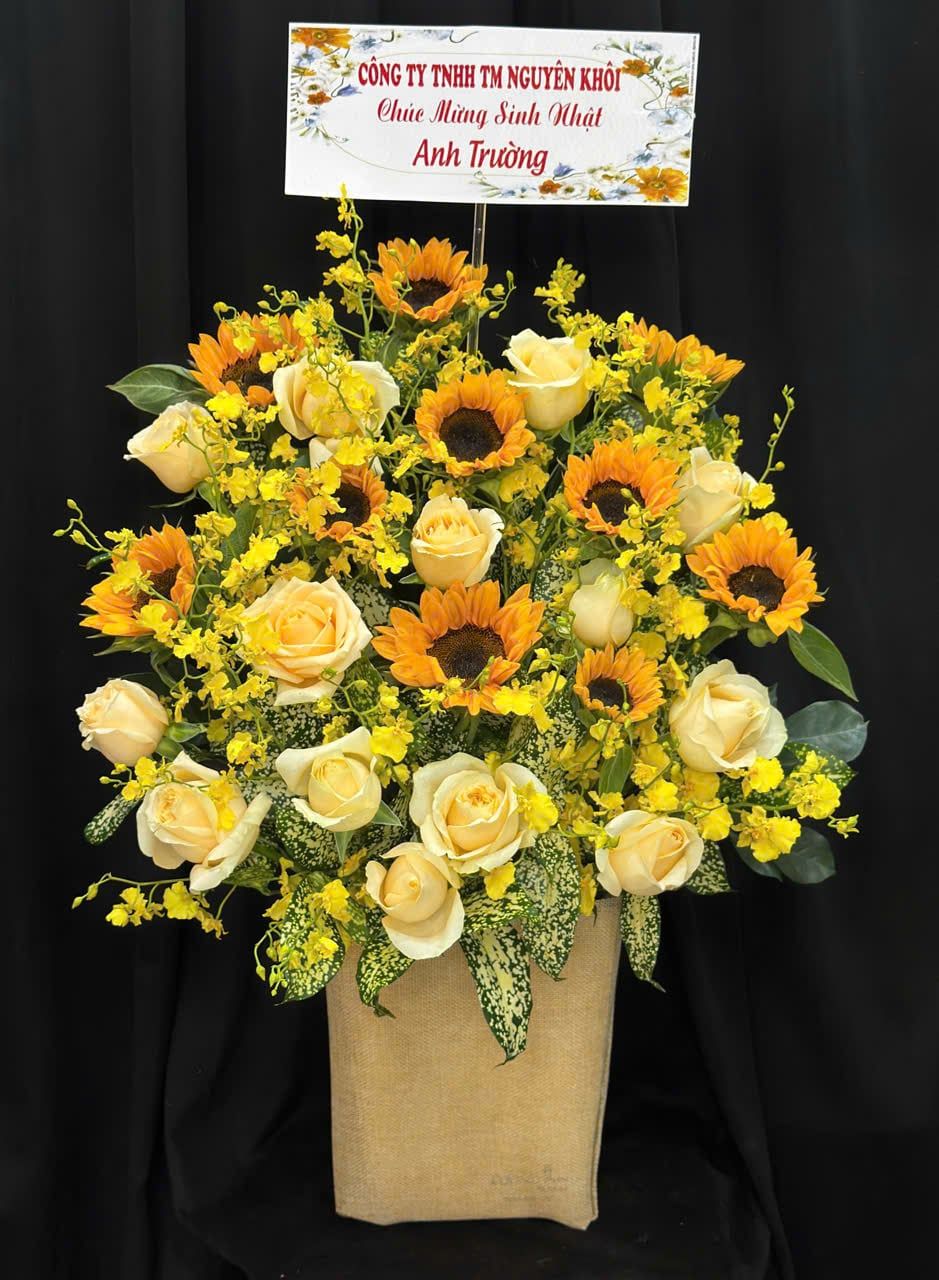  Hộp Hoa Ánh Nắng - HH156 