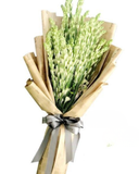  Thương Cảm - HBD107 - Điện Hoa 