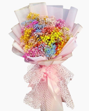  Cầu Vòng - HBD102 