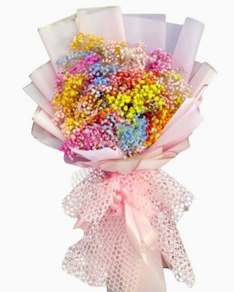  Cầu Vòng - HBD102 