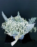  Hoa Để Bàn - Ovan 13 