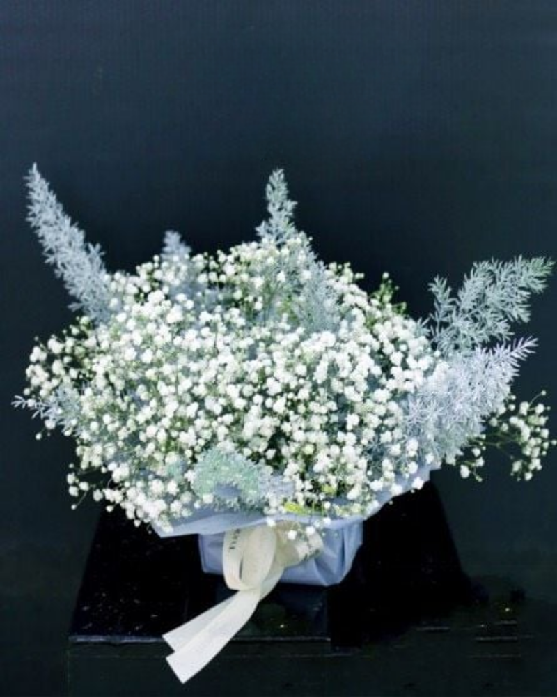  Hoa Để Bàn - Ovan 13 