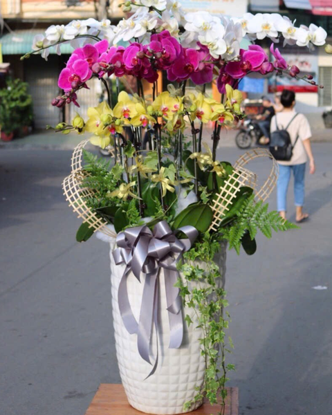 Lan Vượng Khí Cát Hoa - LHĐ171