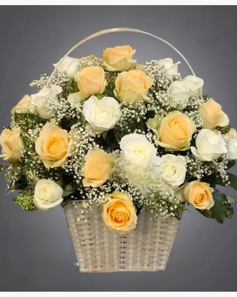  Vào Đời - HG48 - Hoa 20/11 Hành Trình Tri Ân 