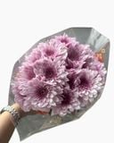  Hoa Cúc Tím - HCC04 