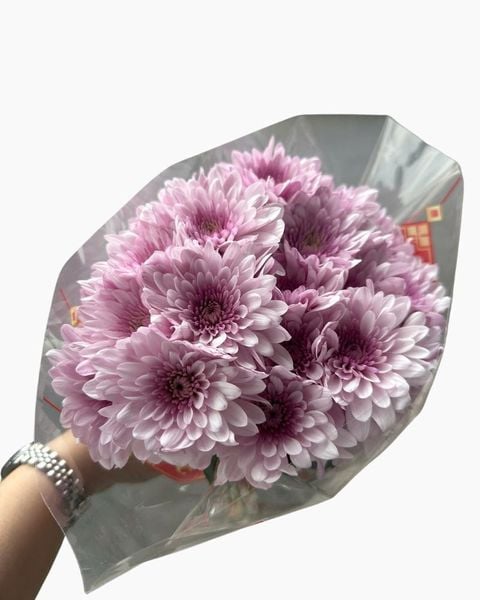 Mẫu Hoa Cúc: Hoa Cúc Tím - HCC04