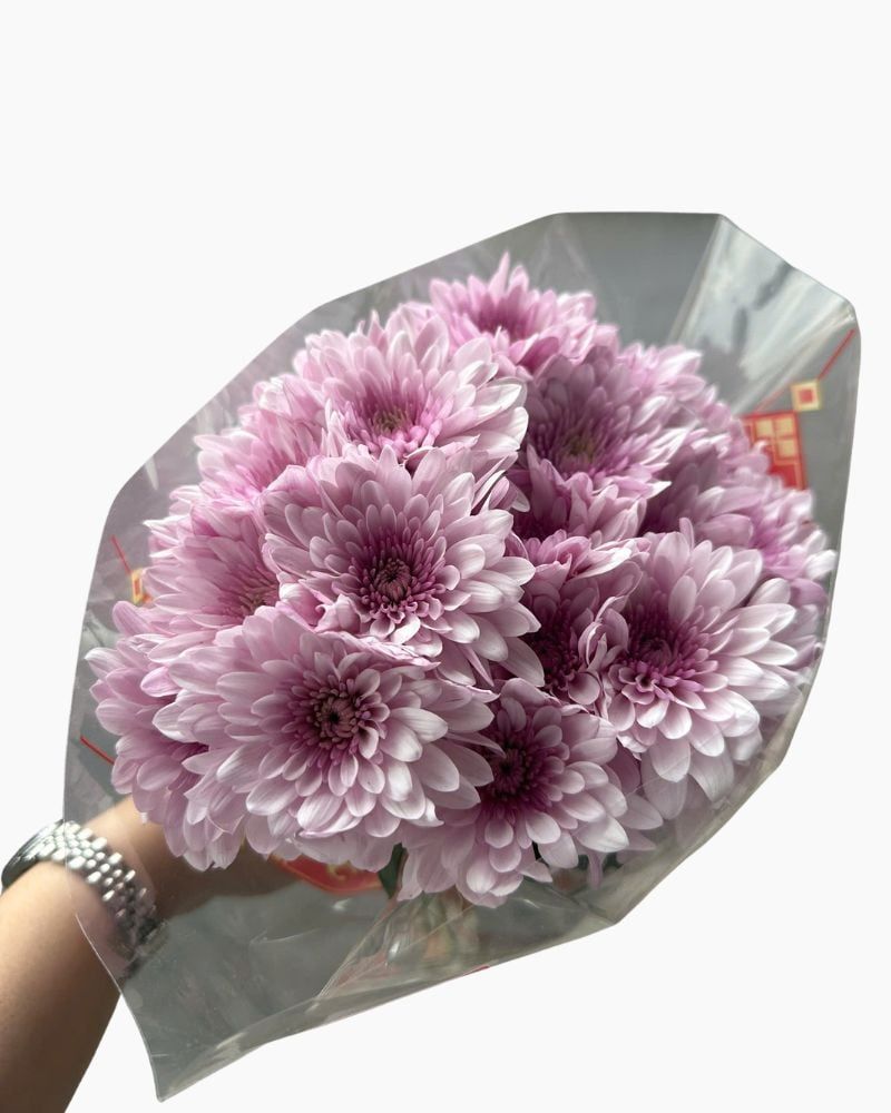  Hoa Cúc Tím - HCC04 