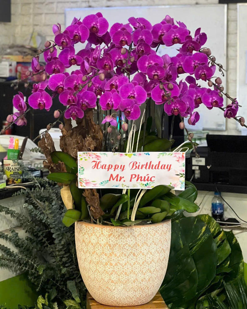  Lan Vạn Lộc An Khang  - LHĐ136 