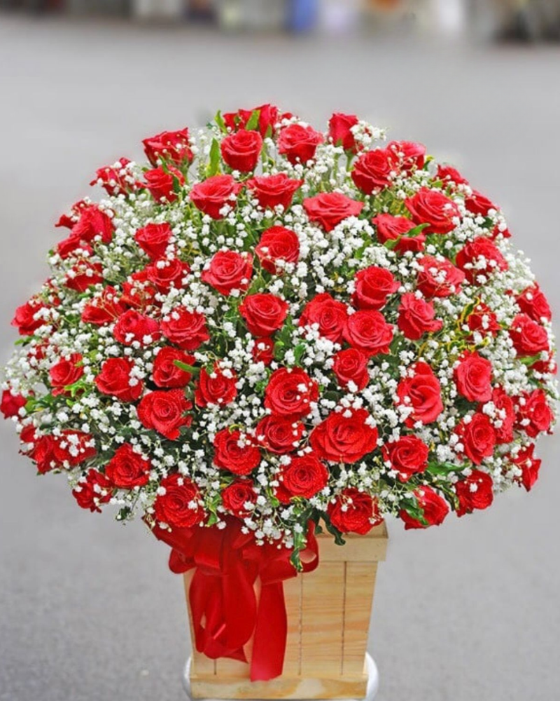  Nồng Cháy - HCH79 - Hoa Hồng 20/10 