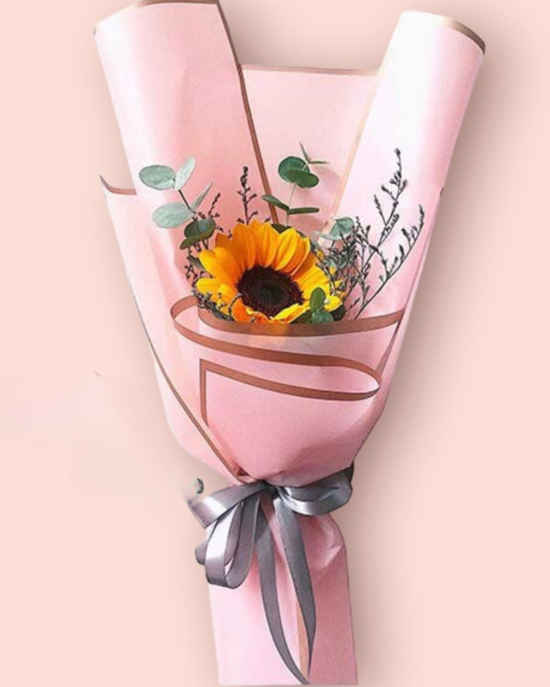  Sunny Morning - HBD71 