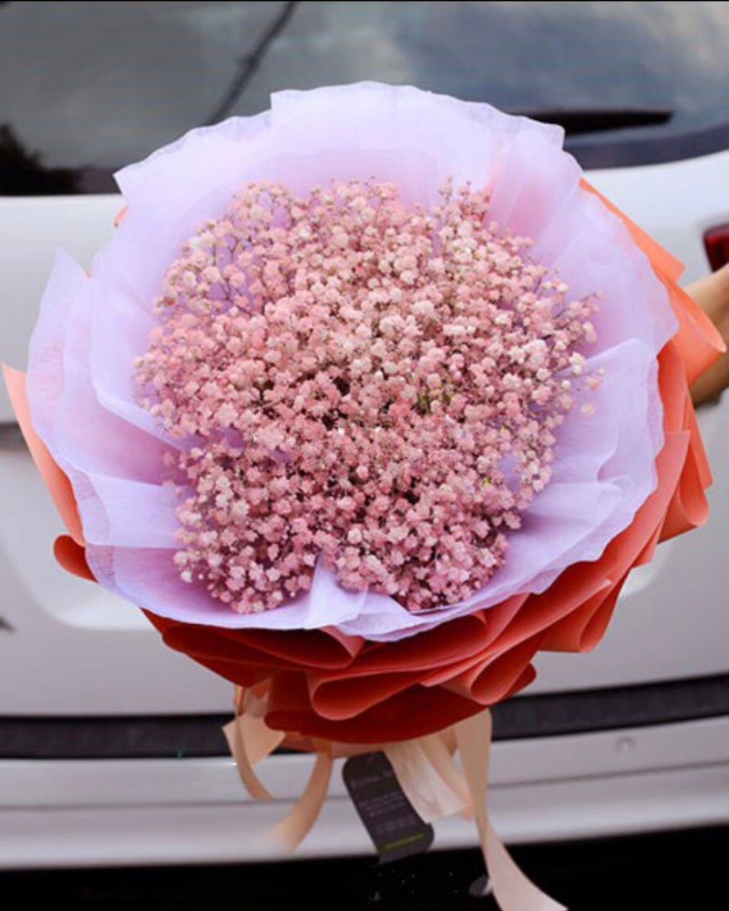  Dreamcatcher - HBT34 - Hoa 20/10 