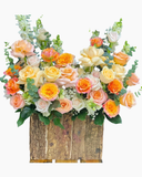  Hộp Hoa Nhạc Tình - HH89 