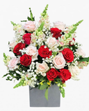  Hoàng Hôn Ngọt Ngào - HCH31 - Hoa 20/11 Dấu Ấn Nhà Giáo 