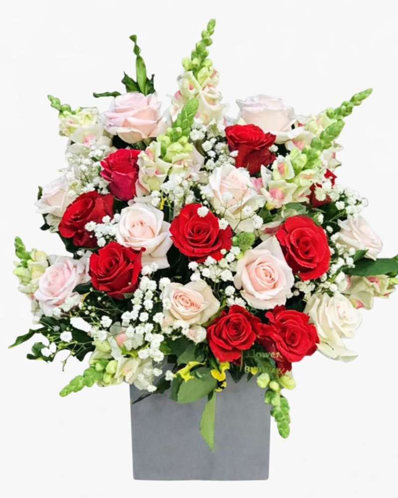  Hoàng Hôn Ngọt Ngào - HCH31 - Hoa 20/11 Dấu Ấn Nhà Giáo 