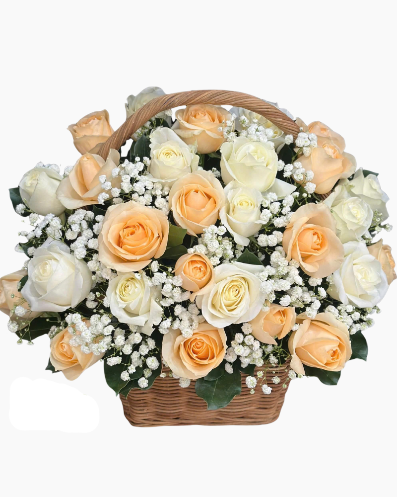  Hoa Yêu Trân Qúy  - HG81 