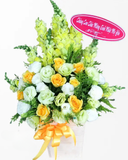  Đại Dương - HCH02 - Hoa 20/11 Hành Trình Tri Ân 