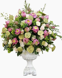  Hương Sen - HCB33 - Hoa Tặng Mẹ 