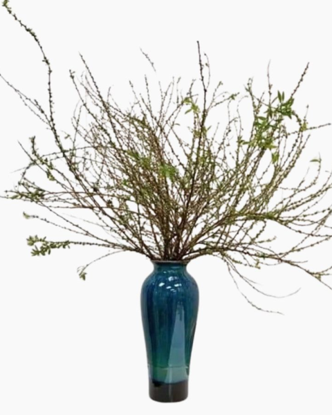 Hoa Tuyết Mai Bền Đẹp Mới 2026 Bính Ngọ: Bình Hoa Tuyết Mai - HCB68 - Hoa Chưng Tết Nguyên Đán