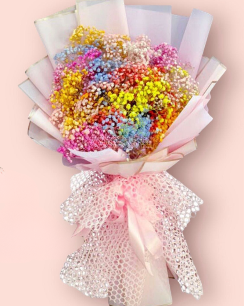  Cầu Vòng - HBD102 