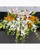  Bục Phát Biểu - 04 - Hoa 20/11 