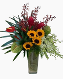  Giấc Mơ Trưa - HCB30 