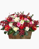  Hoa Để Bàn - Ovan 17 