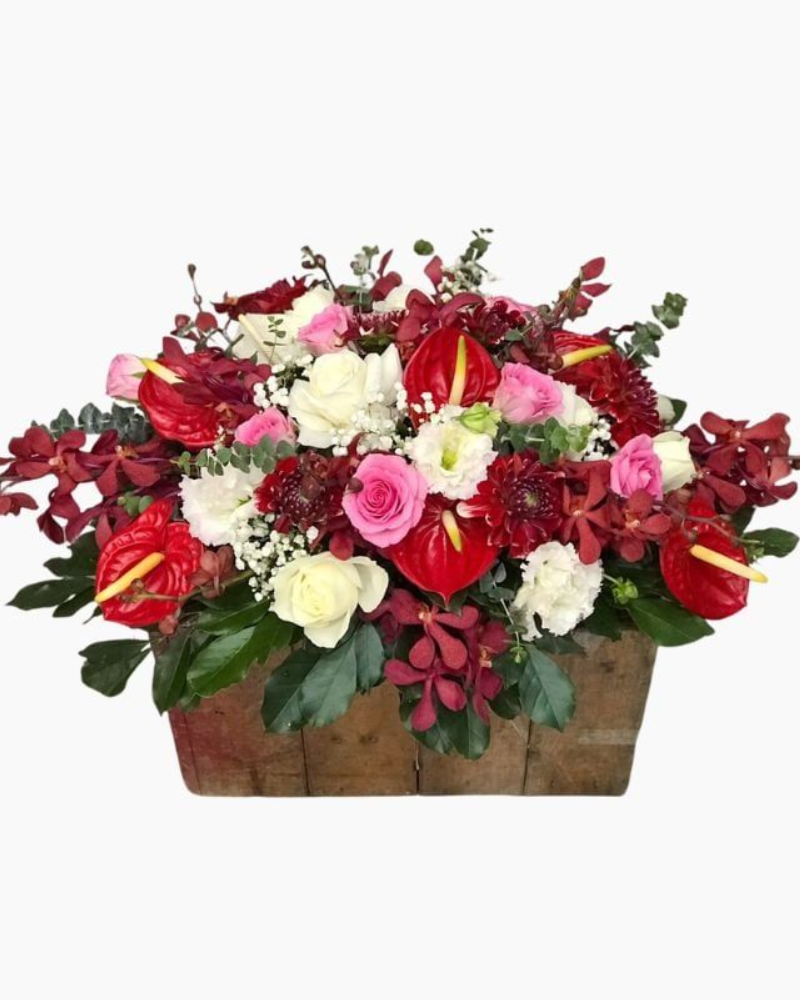  Hoa Để Bàn - Ovan 17 