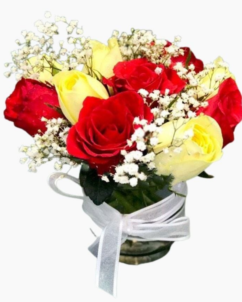  Hoa Để Bàn - Ovan 11 