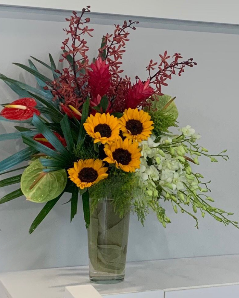  Giấc Mơ Trưa - HCB30 