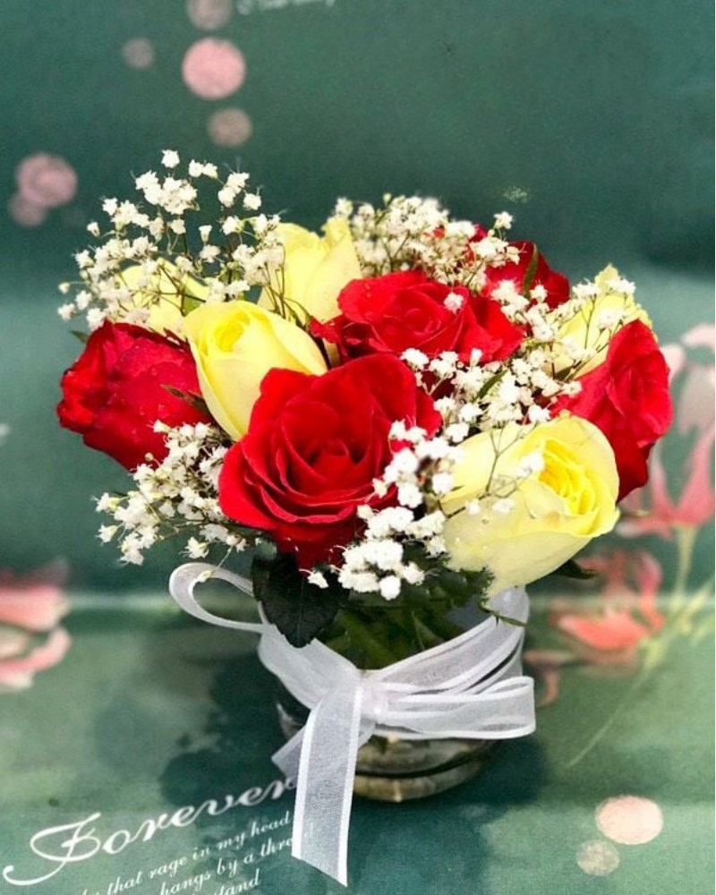  Hoa Để Bàn - Ovan 11 