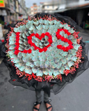  Hoa Bó Tiền 500K - BT34 - Hoa 20/10 