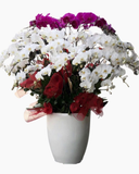  Chậu Hoa Lan Hồ Điệp Xoay Tròn - LHĐ71 