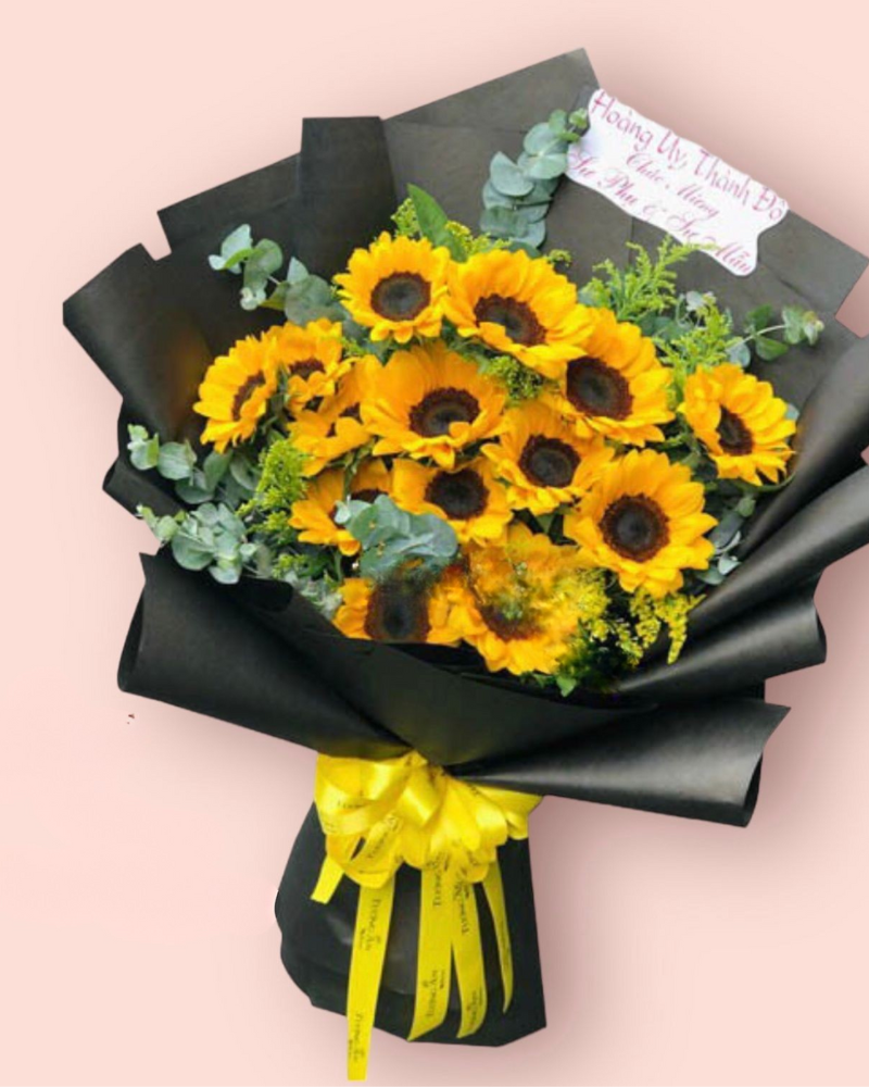  Hướng Dương - HBD180 