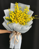  Bó Lan Vũ Nữ - HBD237 