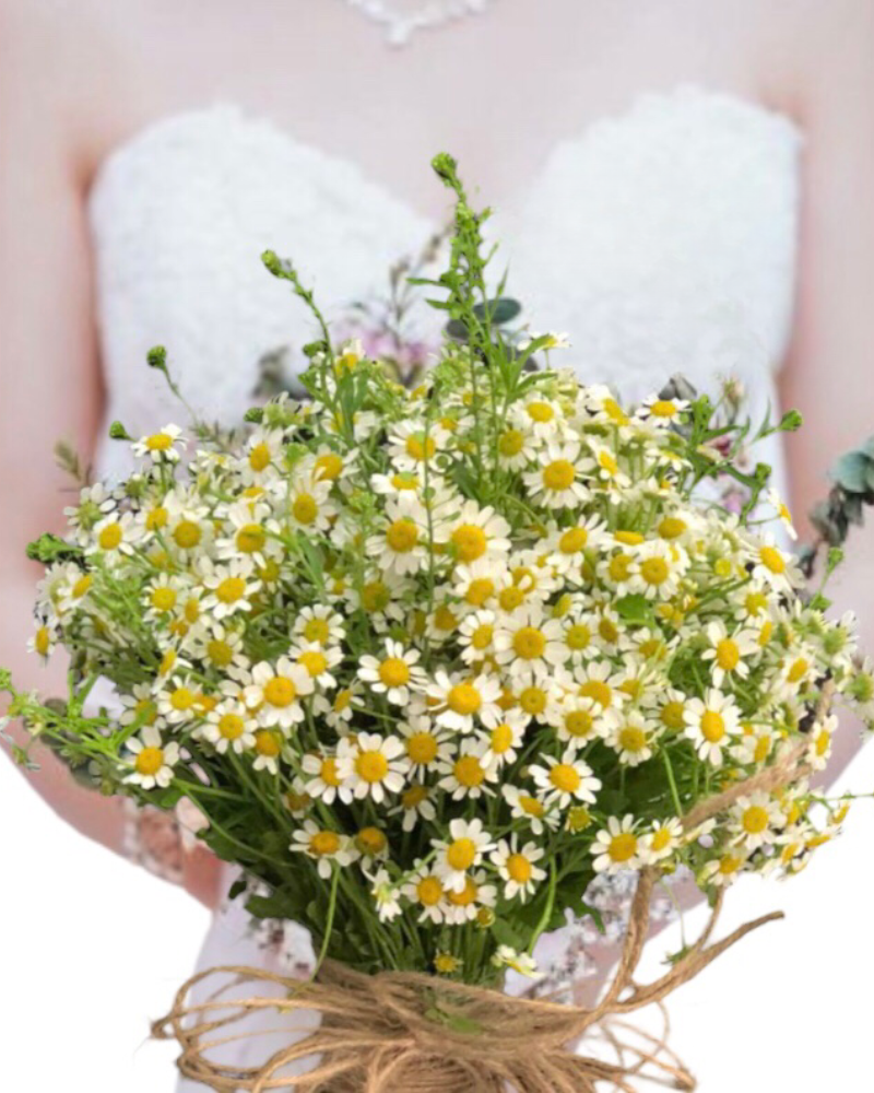  Hoa Cưới cầm tay cô dâu Cherish Day  HC30 