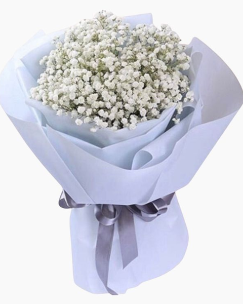 Mẫu Hoa Tươi Màu Trắng sang trọng, nhẹ nhàng, tinh khiết: Bó Hoa Baby Trắng Tặng Bạn Gái - HBT58