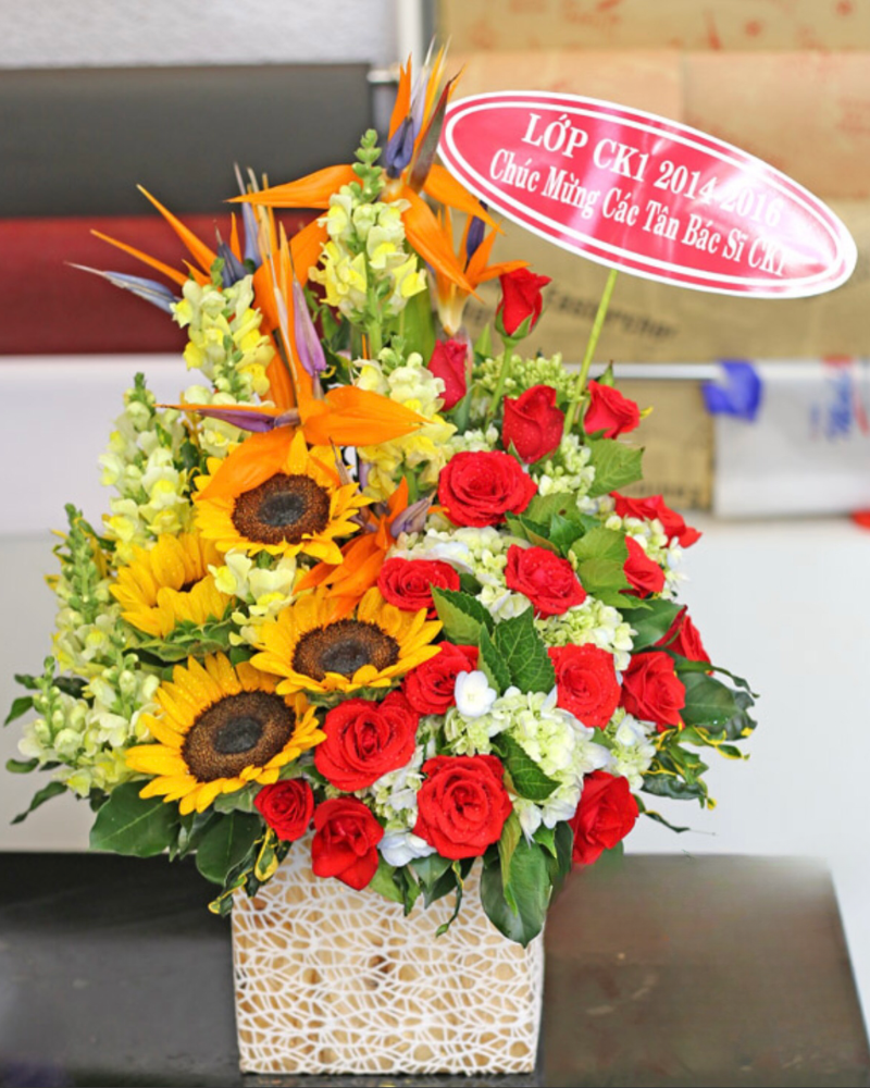  Tình Yêu Màu Nắng - HCH42 