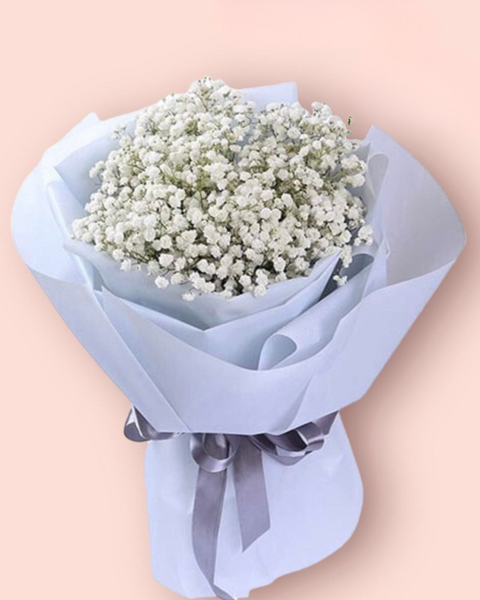 Mẫu Hoa Tươi Màu Trắng sang trọng, nhẹ nhàng, tinh khiết: Bó Hoa Baby Trắng Tặng Bạn Gái - HBT58