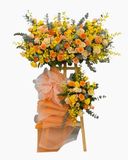  Kệ Hoa Ánh Dương Phồn Hoa - HCM147 