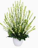  Bình Hoa Tươi Hoa Huệ Trắng - HCB64 