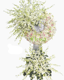  Vòng Tiếc Thương - HTL180 